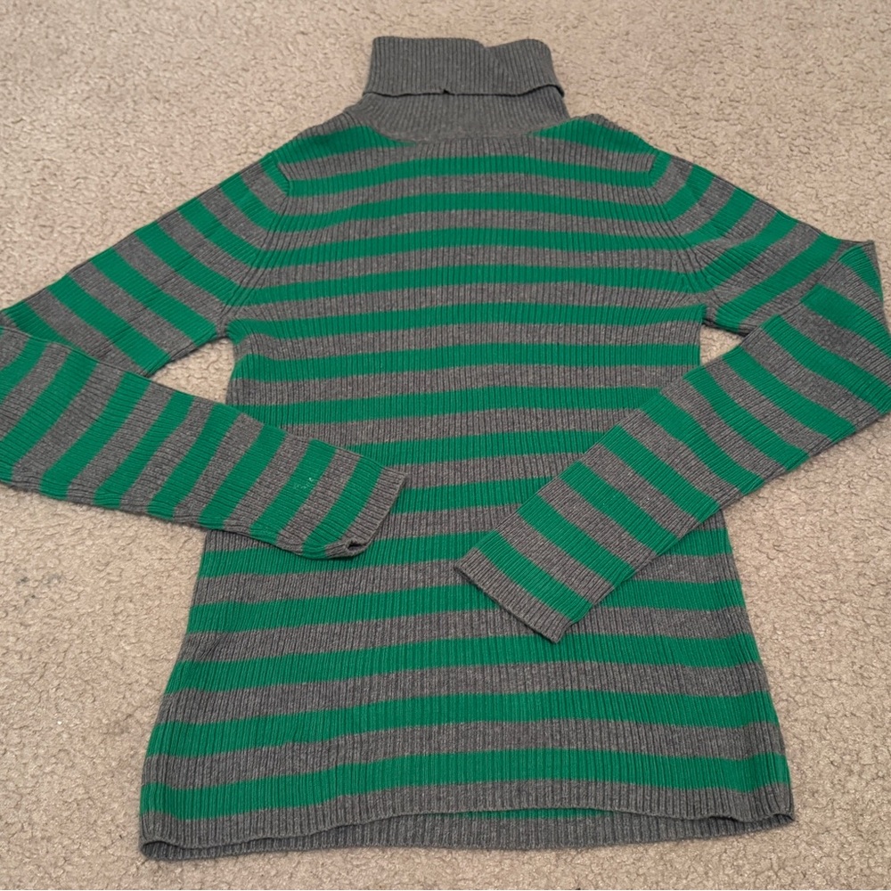 Fitted Turtleneck Sweater